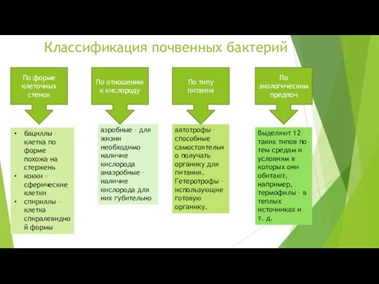 Классификация почвенных бактерий По отношению к кислороду По типу питания По экологическим