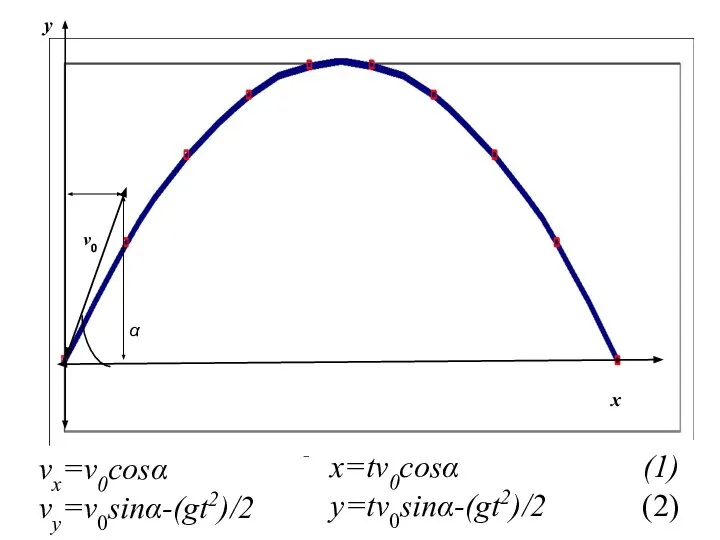 x y α v0 vx=v0cosα vy=v0sinα-(gt2)/2 x=tv0cosα (1) y=tv0sinα-(gt2)/2 (2)