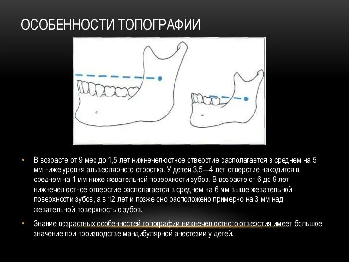 ОСОБЕННОСТИ ТОПОГРАФИИ В возрасте от 9 мес до 1,5 лет нижнечелюстное отверстие