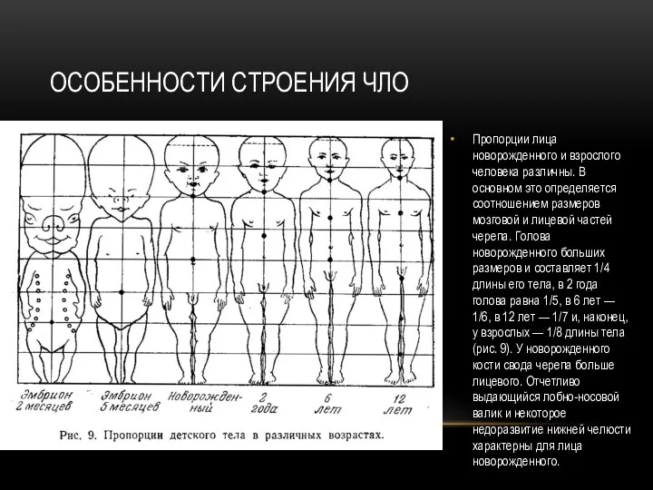 ОСОБЕННОСТИ СТРОЕНИЯ ЧЛО Пропорции лица новорожденного и взрослого человека различны. В основном