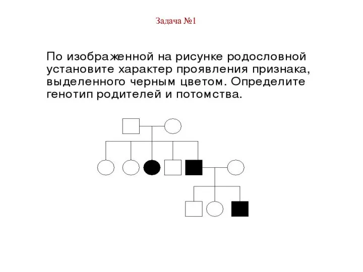 Задача №1