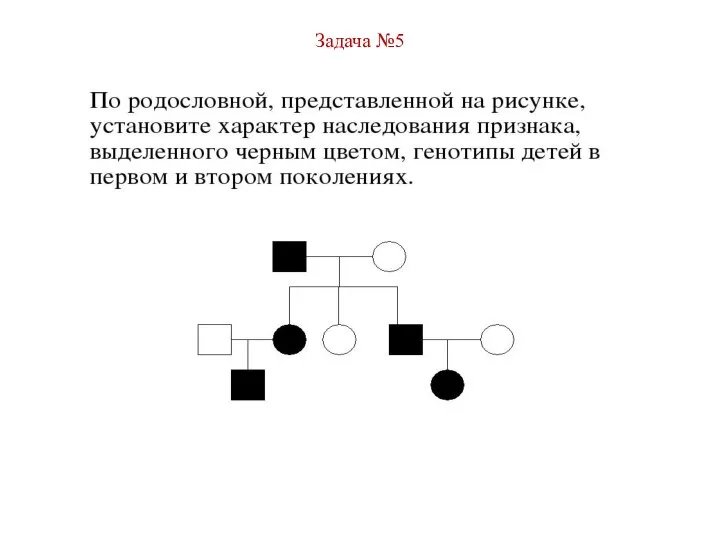 Задача №5