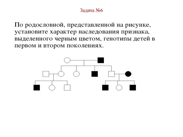 Задача №6