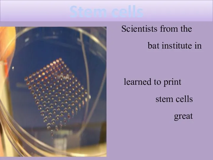Stem cells Scientists from the Heriot b bat institute in Edinburgs learned