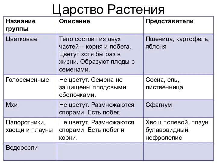 Царство Растения