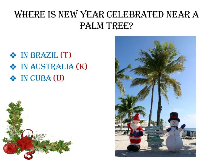 Where is New year celebrated near a palm tree? In Brazil (T)