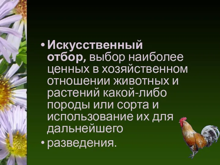 Искусственный отбор, выбор наиболее ценных в хозяйственном отношении животных и растений какой-либо