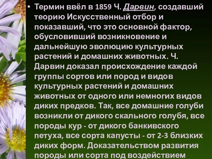 Термин ввёл в 1859 Ч. Дарвин, создавший теорию Искусственный отбор и показавший,