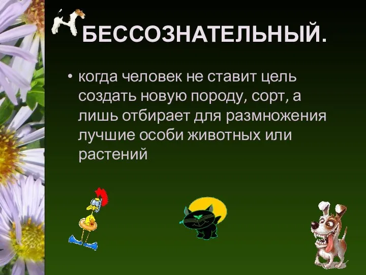 БЕССОЗНАТЕЛЬНЫЙ. когда человек не ставит цель создать новую породу, сорт, а лишь