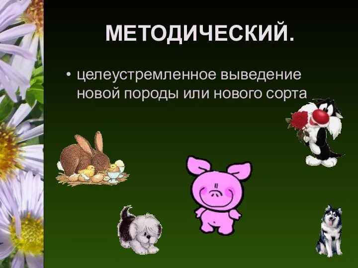 МЕТОДИЧЕСКИЙ. целеустремленное выведение новой породы или нового сорта