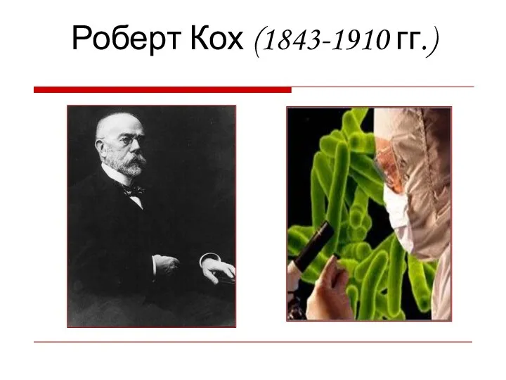 Роберт Кох (1843-1910 гг.)