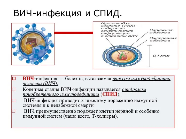 ВИЧ-инфекция и СПИД. ВИЧ-инфекция — болезнь, вызываемая вирусом иммунодефицита человека (ВИЧ). Конечная