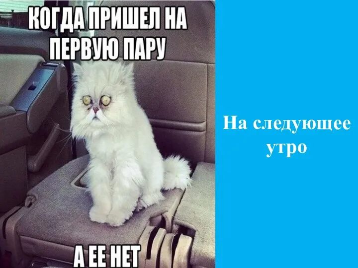 На следующее утро