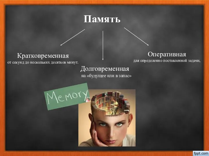 Память Кратковременная от секунд до нескольких десятков минут. Долговременная на «будущее или