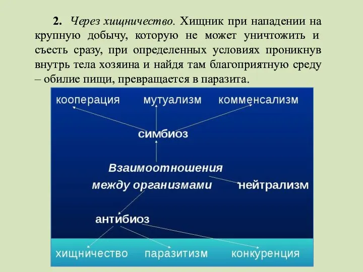 2. Через хищничество. Хищник при нападении на крупную добычу, которую не может