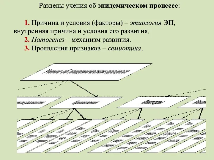 Разделы учения об эпидемическом процессе: 1. Причина и условия (факторы) – этиология