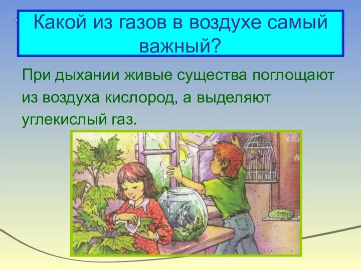 Какой из газов в воздухе самый важный? При дыхании живые существа поглощают