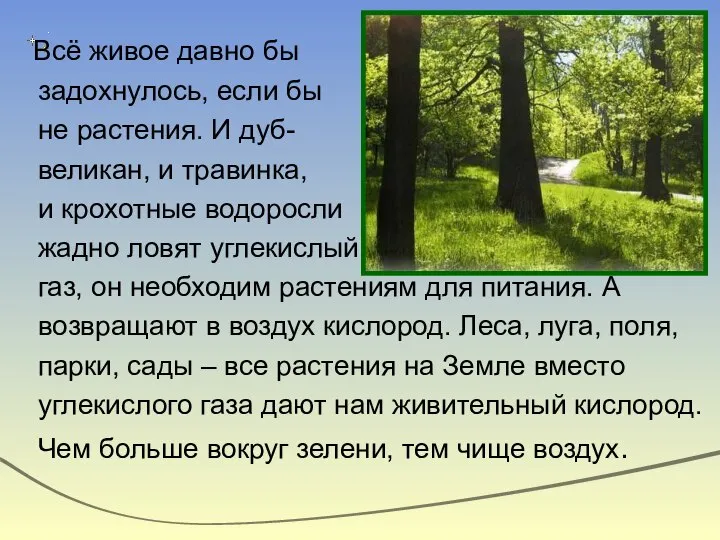 Всё живое давно бы задохнулось, если бы не растения. И дуб- великан,