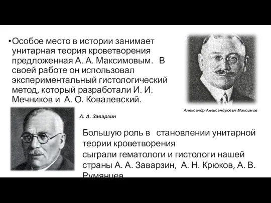 Особое место в истории занимает унитарная теория кроветворения предложенная А. А. Максимовым.