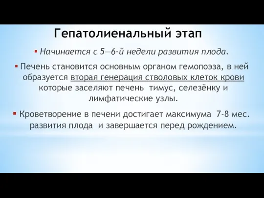 Гепатолиенальный этап Начинается с 5—6-й недели развития плода. Печень становится основным органом