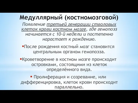 Медуллярный (костномозговой) Появление третьей генерации стволовых клеток крови костном мозге, где гемопоэз