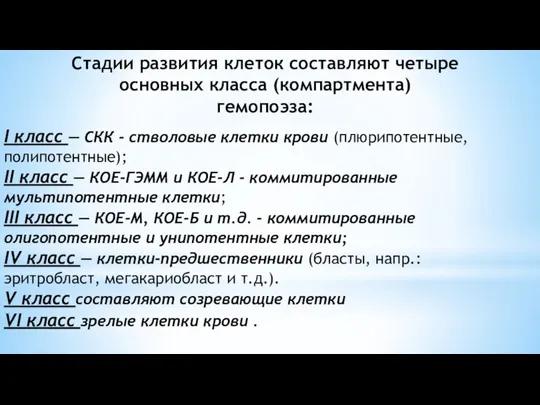 I класс — СКК - стволовые клетки крови (плюрипотентные, полипотентные); II класс