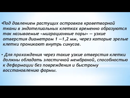 Под давлением растущих островков кроветворной ткани в эндотелиальных клетках временно образуются так