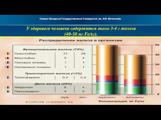 У здорового человека содержится около 3-4 г железа (40-50 мг Fe/кг).