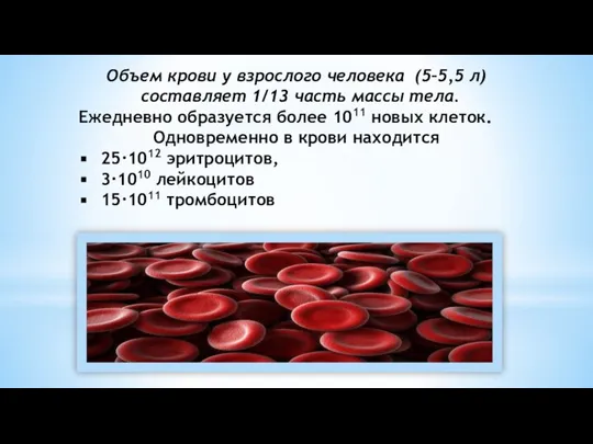 Объем крови у взрослого человека (5–5,5 л) составляет 1/13 часть массы тела.