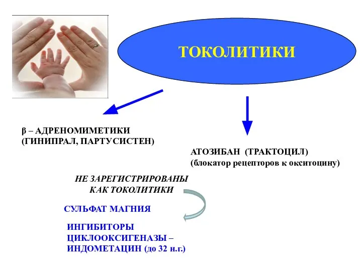 ТОКОЛИТИКИ β – АДРЕНОМИМЕТИКИ (ГИНИПРАЛ, ПАРТУСИСТЕН) ИНГИБИТОРЫ ЦИКЛООКСИГЕНАЗЫ – ИНДОМЕТАЦИН (до 32