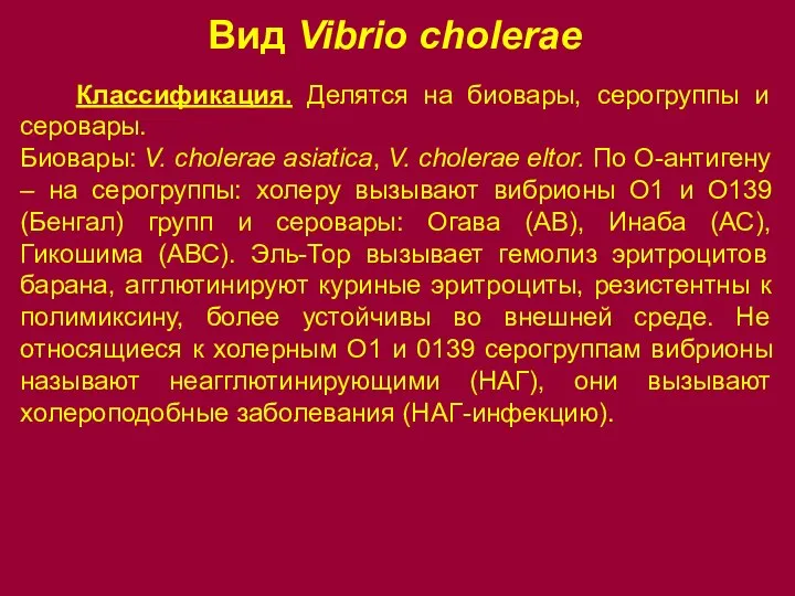 Вид Vibrio cholerae Классификация. Делятся на биовары, серогруппы и серовары. Биовары: V.