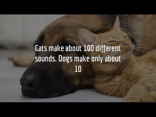 Cats make about 100 different sounds. Dogs make only about 10