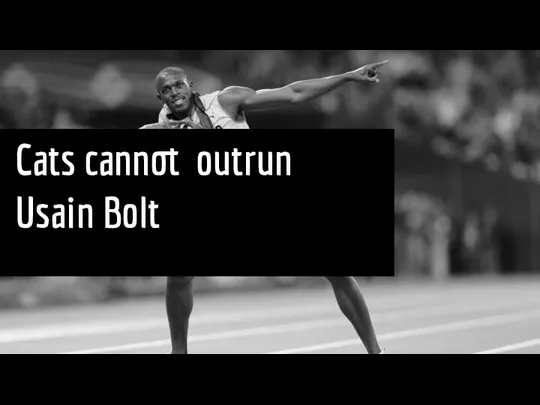 Cats cannot outrun Usain Bolt