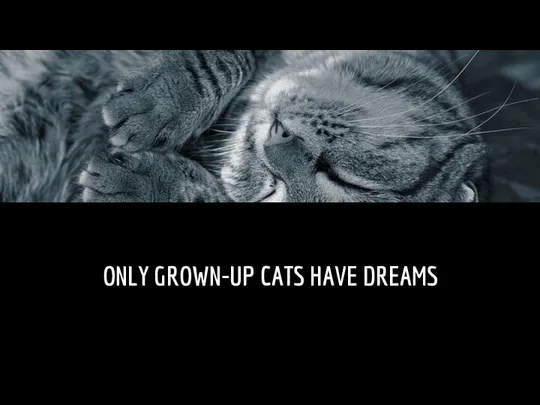 ONLY GROWN-UP CATS HAVE DREAMS