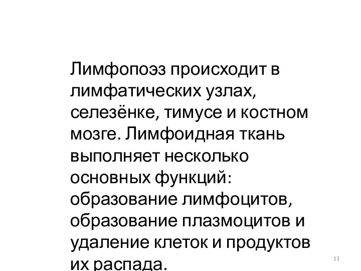 Лимфопоэз происходит в лимфатических узлах, селезёнке, тимусе и костном мозге. Лимфоидная ткань