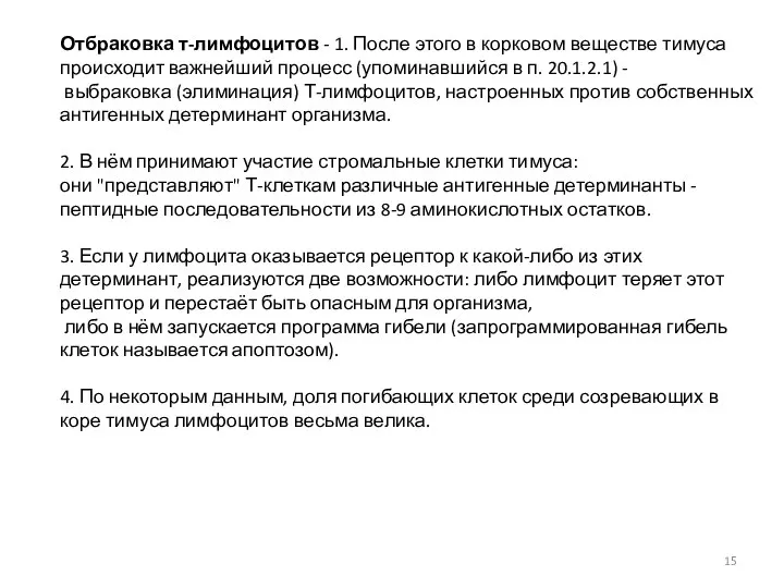 Отбраковка т-лимфоцитов - 1. После этого в корковом веществе тимуса происходит важнейший