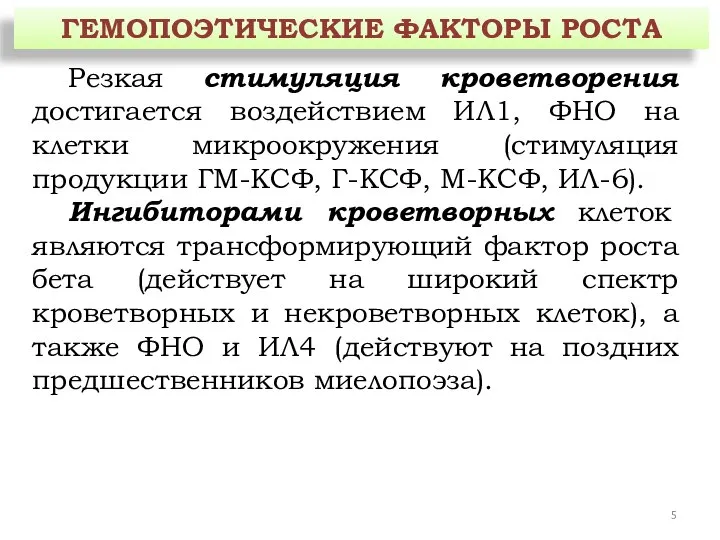 ГЕМОПОЭТИЧЕСКИЕ ФАКТОРЫ РОСТА Резкая стимуляция кроветворения достигается воздействием ИЛ1, ФНО на клетки