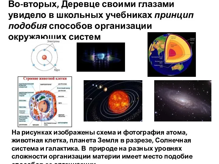 Во-вторых, Деревце своими глазами увидело в школьных учебниках принцип подобия способов организации