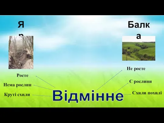 Відмінне Яр Балка Росте Не росте Нема рослин Круті схили Є рослини Схили похилі