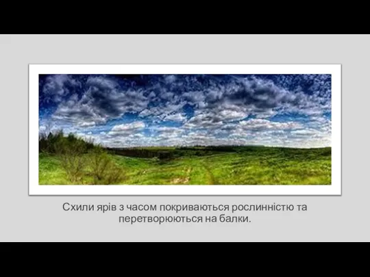 Схили ярів з часом покриваються рослинністю та перетворюються на балки.