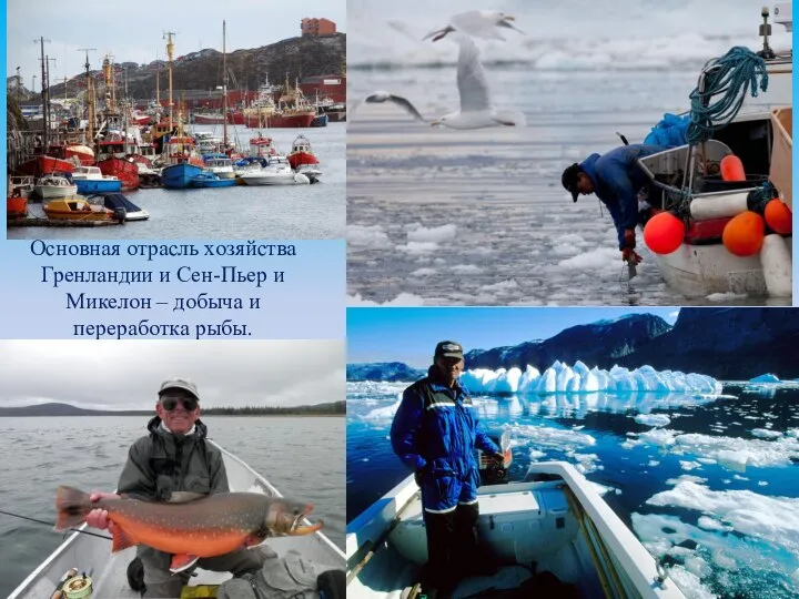 Основная отрасль хозяйства Гренландии и Сен-Пьер и Микелон – добыча и переработка рыбы.