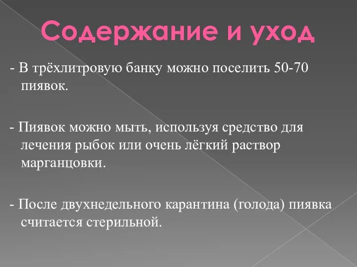 Содержание и уход - В трёхлитровую банку можно поселить 50-70 пиявок. -