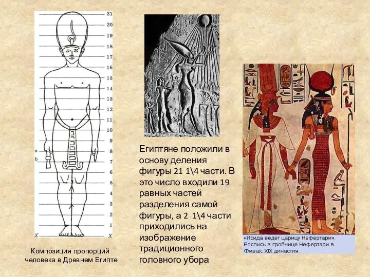 Композиция пропорций человека в Древнем Египте Египтяне положили в основу деления фигуры