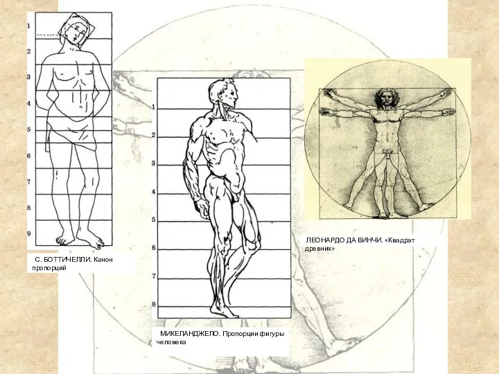 МИКЕЛАНДЖЕЛО. Пропорции фигуры человека С. БОТТИЧЕЛЛИ. Канон пропорций ЛЕОНАРДО ДА ВИНЧИ. «Квадрат древних»
