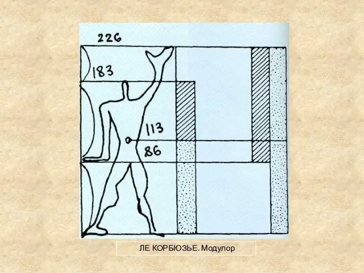 ЛЕ КОРБЮЗЬЕ. Модулор