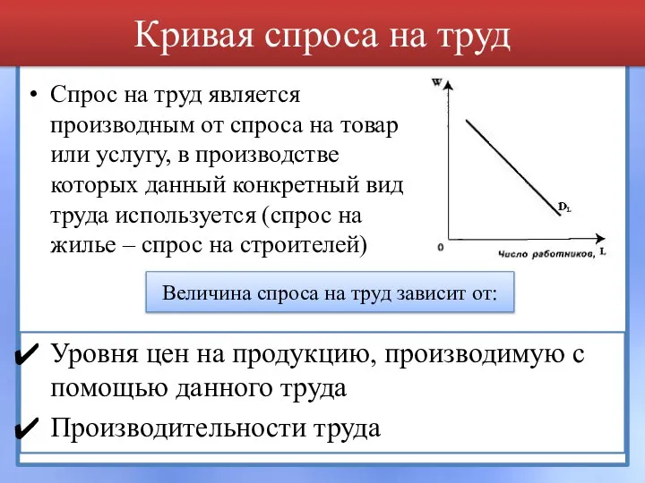 Кривая спроса на труд Спрос на труд является производным от спроса на