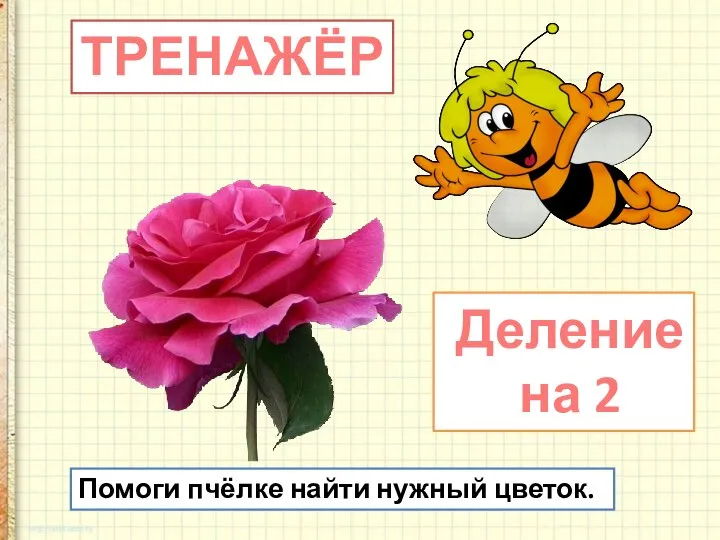 Помоги пчёлке найти нужный цветок. ТРЕНАЖЁР Деление на 2