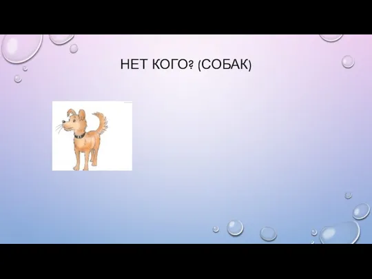 НЕТ КОГО? (СОБАК)