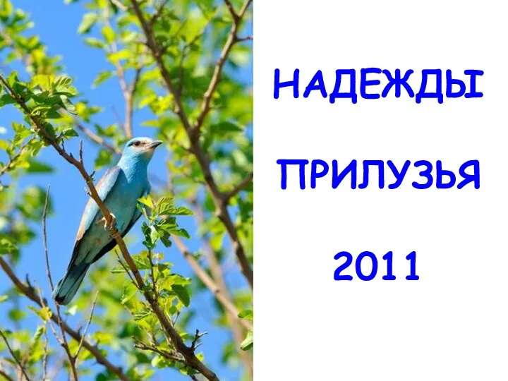 НАДЕЖДЫ ПРИЛУЗЬЯ 2011