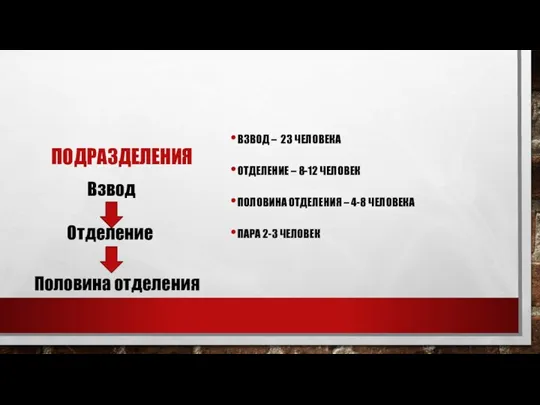 ПОДРАЗДЕЛЕНИЯ ВЗВОД – 23 ЧЕЛОВЕКА ОТДЕЛЕНИЕ – 8-12 ЧЕЛОВЕК ПОЛОВИНА ОТДЕЛЕНИЯ –